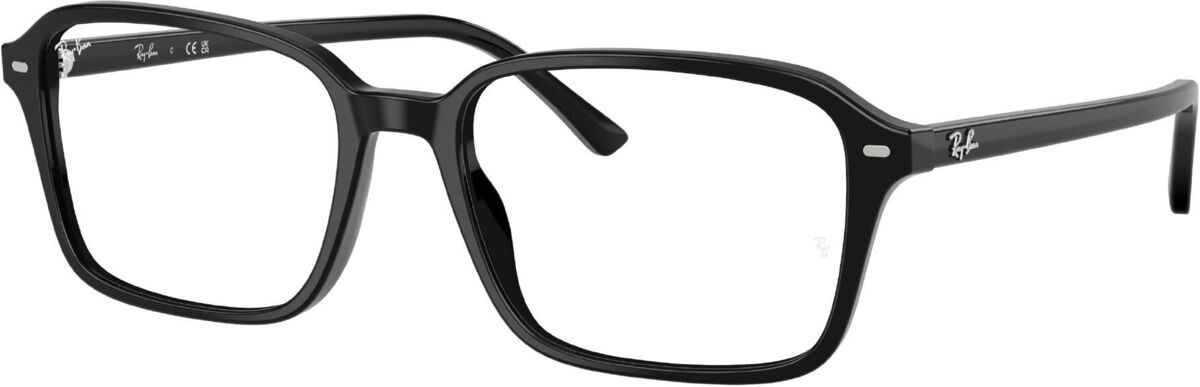 Ray-Ban 0RX5431 / 54 2000