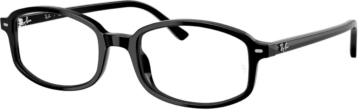 Ray-Ban 0RX5432 / 52 2000