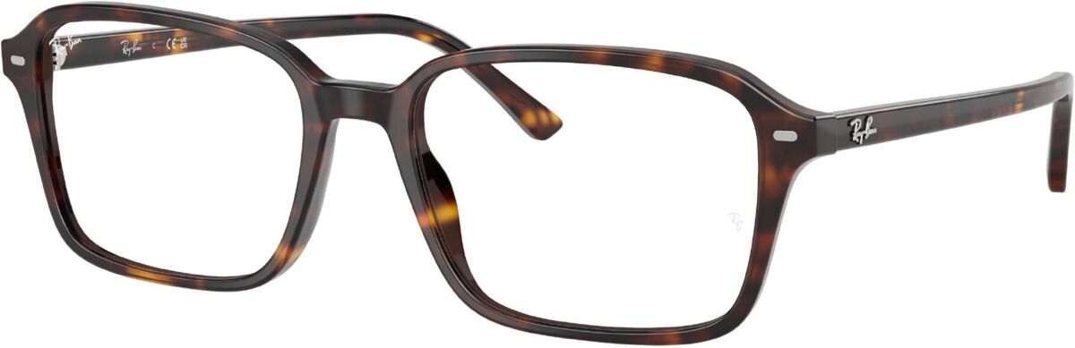 Ray-Ban 0RX5431 / 54 2012