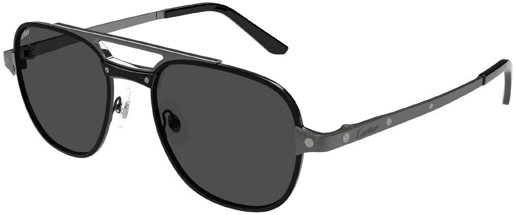 Cartier CT0477S 002