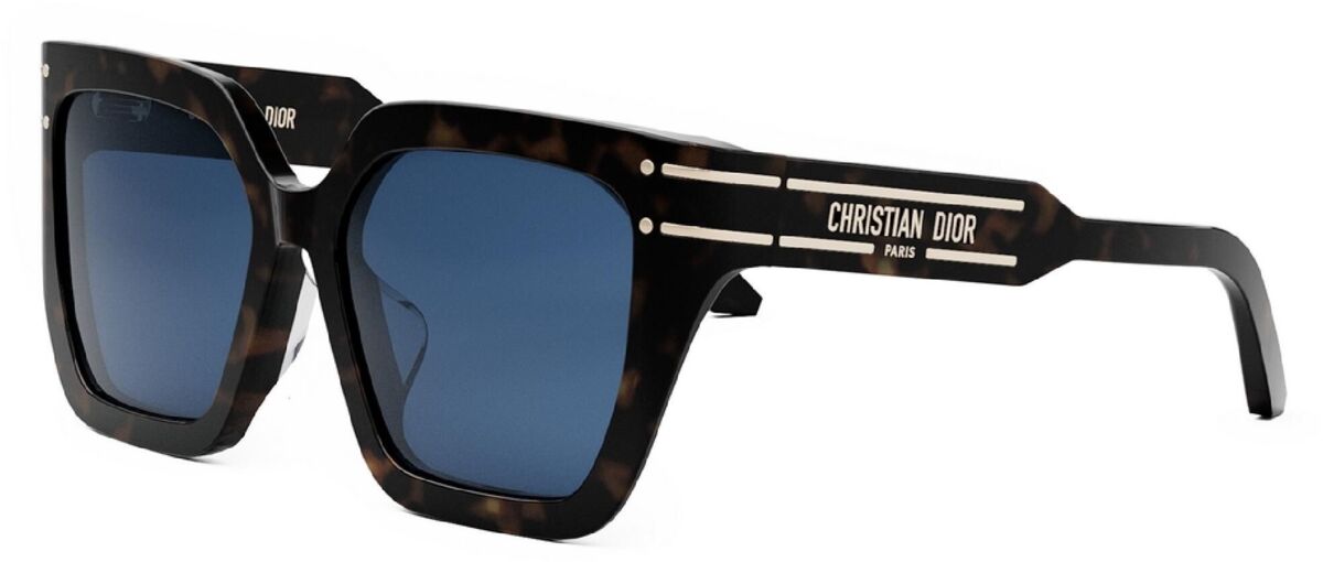 Dior DIORSIGNATURE S10F 20B0