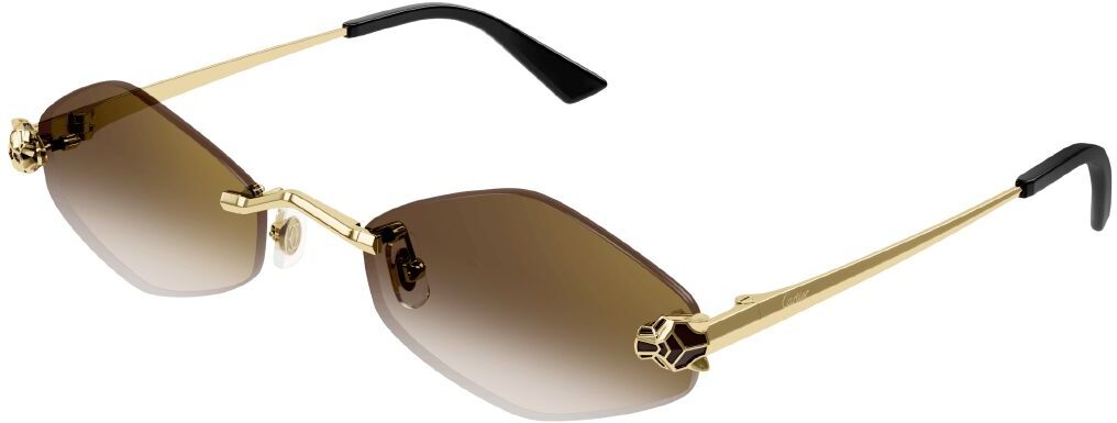 Cartier CT0433S 002