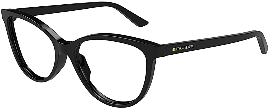 Bottega Veneta BV1313O 001