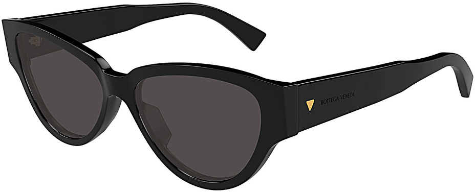 Bottega Veneta BV1319S 001