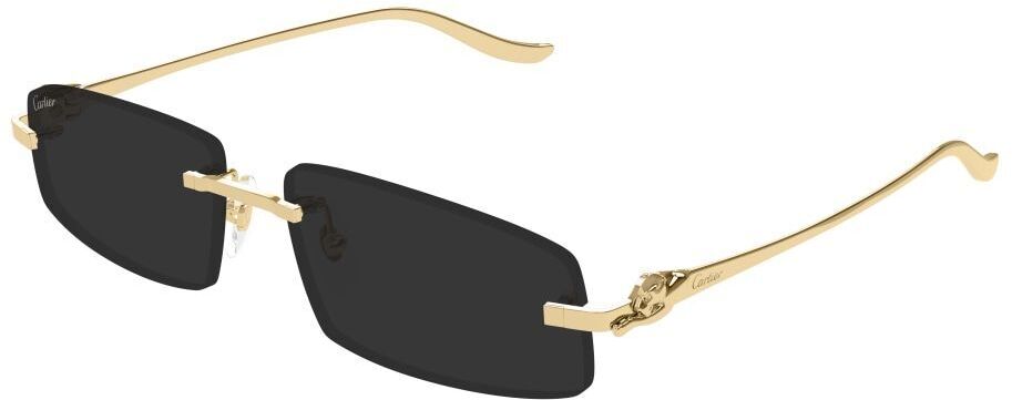 Cartier CT0505S 001