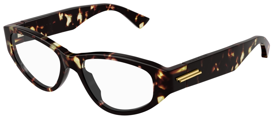 Bottega Veneta BV1154O 002