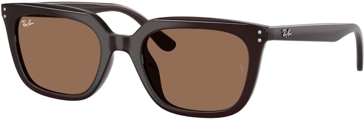 Ray-Ban 0RB4439D / 54 623173