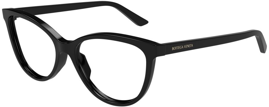 Bottega Veneta BV1313O 006
