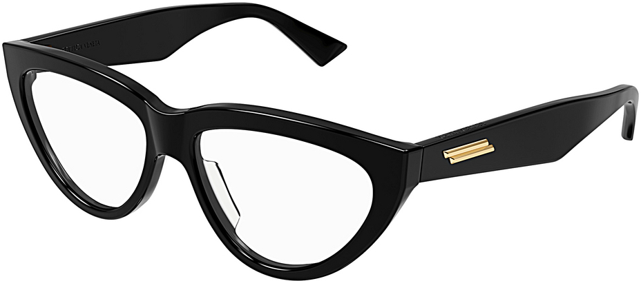 Bottega Veneta BV1193O 001