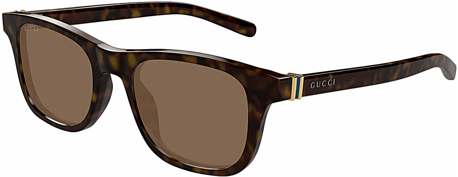 Gucci GG1671S 002