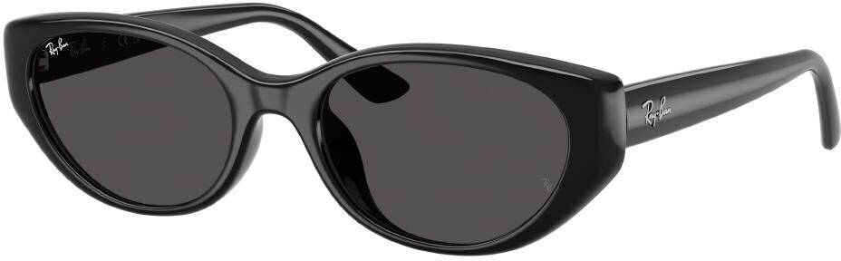 Ray-Ban 0RB4457D / 55 667787