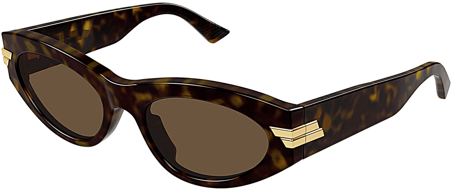 Bottega Veneta BV1189S 002