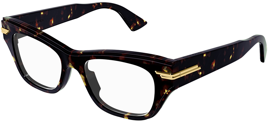Bottega Veneta BV1152O 002
