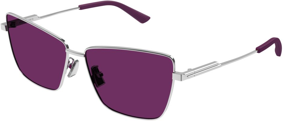Bottega Veneta BV1195S 003
