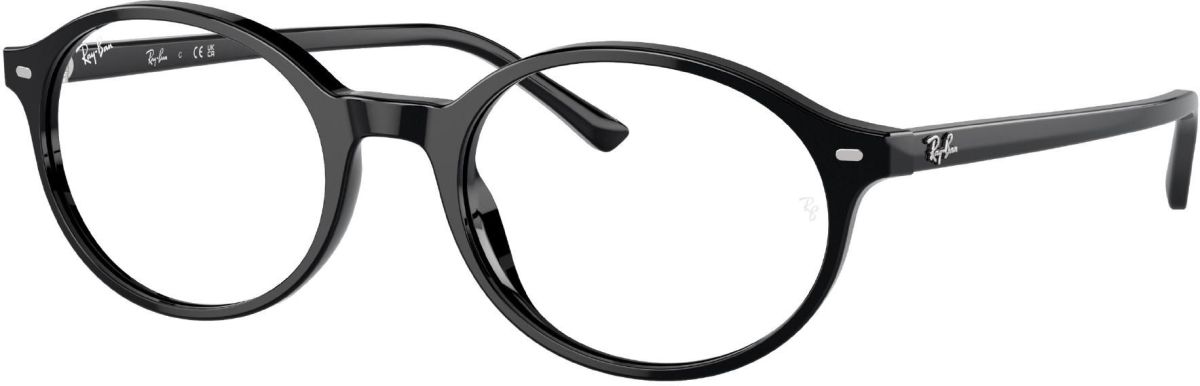 Ray-Ban 0RX5429 / 53 2000
