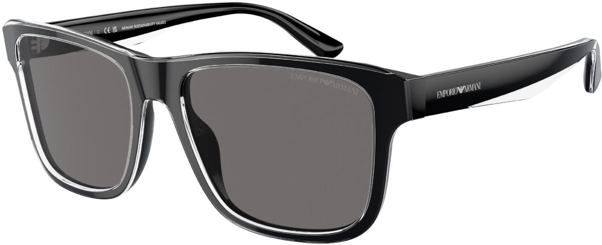 Emporio Armani 0EA4208 / 56 6051/87