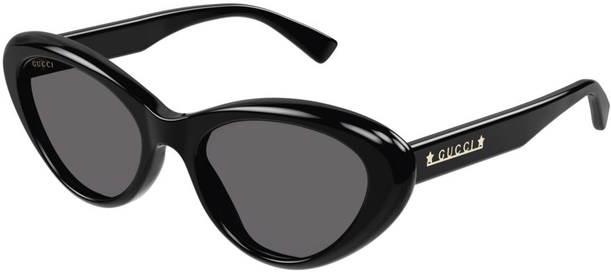 Gucci GG1170S 001