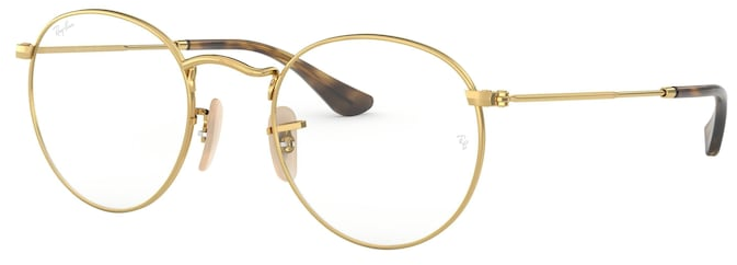 Ray-Ban 0RX3447V / 47 2500